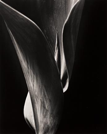 WILLARD VAN DYKE (1906-1986) Ten Photographs, California, 1930-1937.